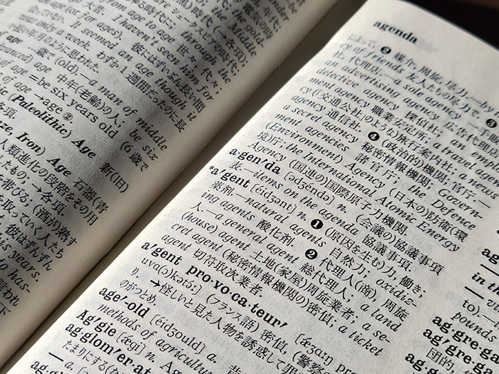船舶代理店とは